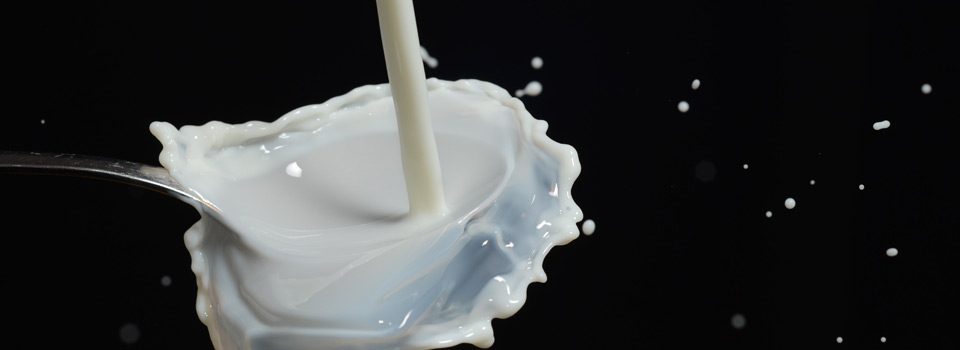 Milk plastic